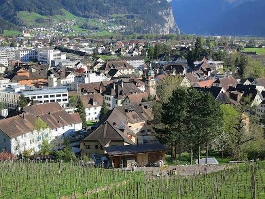 View over Altdorf